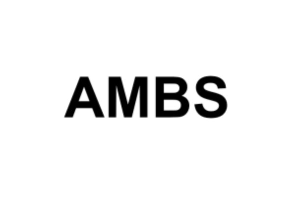 AMBS Real Estate Development