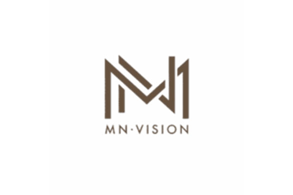 MN Vision Real Estate Development LLC