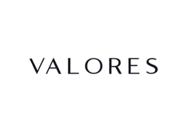 Valores Property Development LLC